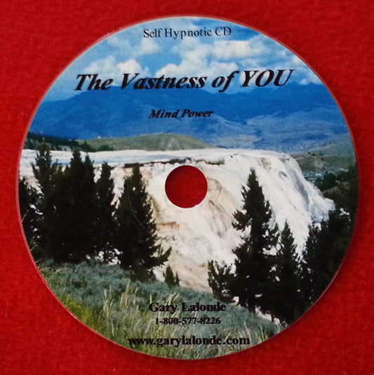 The Vastness of You (MP3)