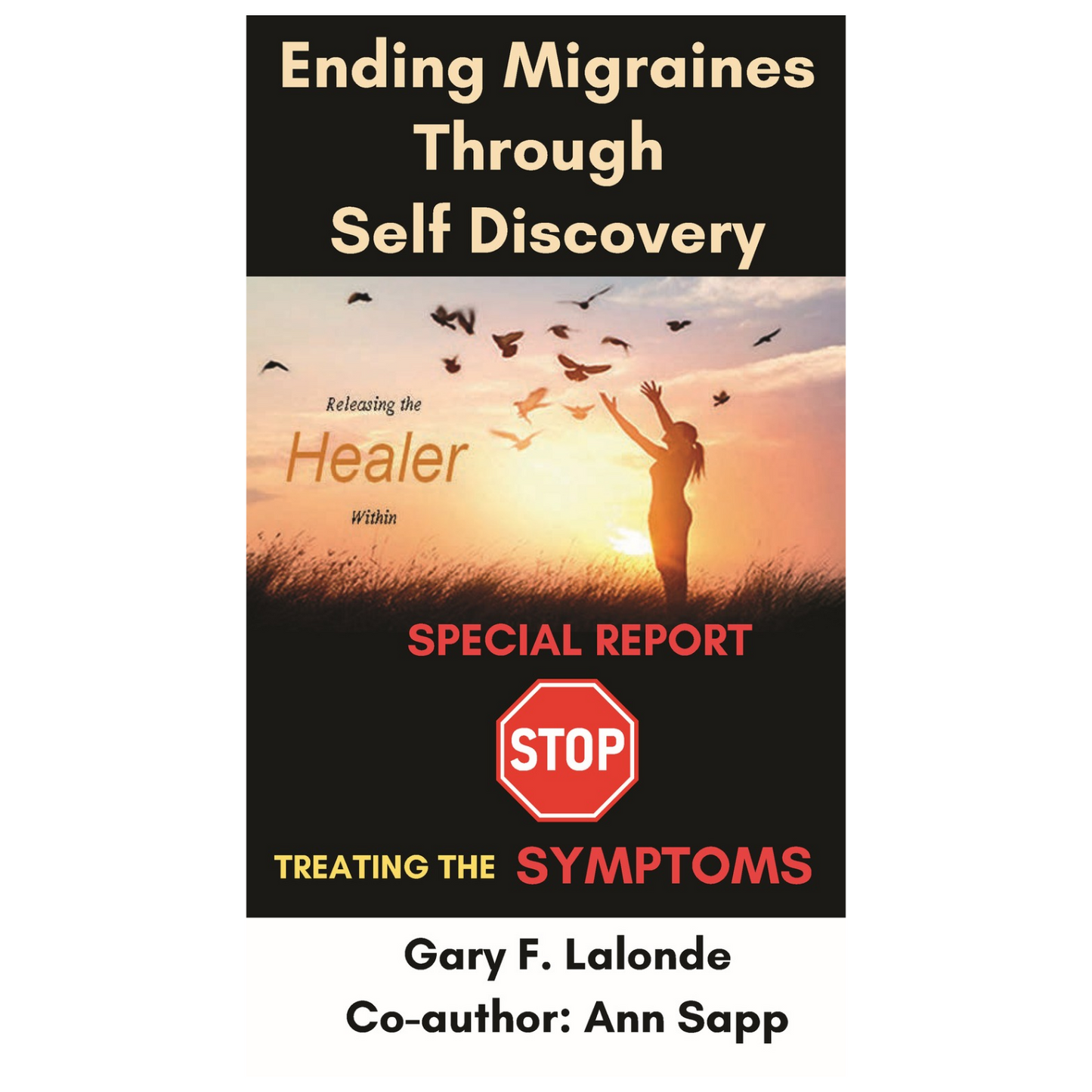 Ending Migraines Through Self Discovery  (Paperback)
